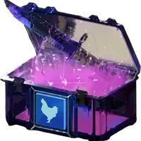 Chicken.gg Case 1