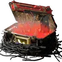 Chicken.gg Case 2