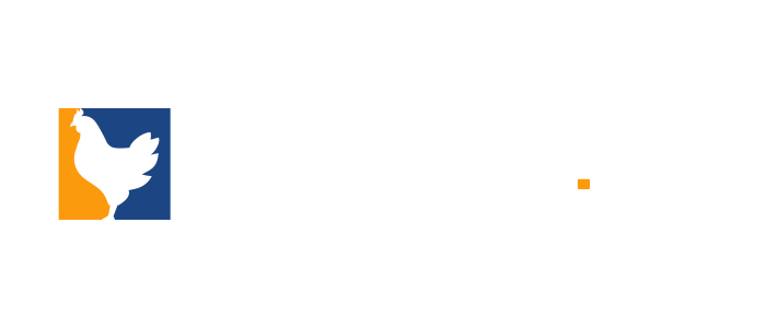 Chicken.gg